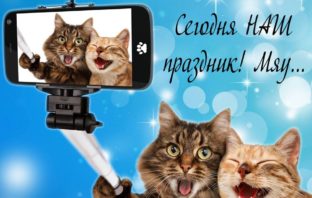 Всех с днем кошек…