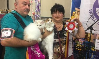 А сегодня понедельник и День Хвастуна 🏆🏆🏆 )))