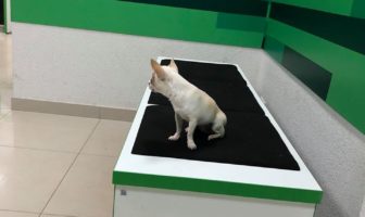 Кто крайний ?