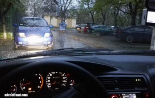Дендропарк Александрия, Белая-Церковь.Самый большой в Украине Отпуск с Ириной Буслаевой - odesoftami.com